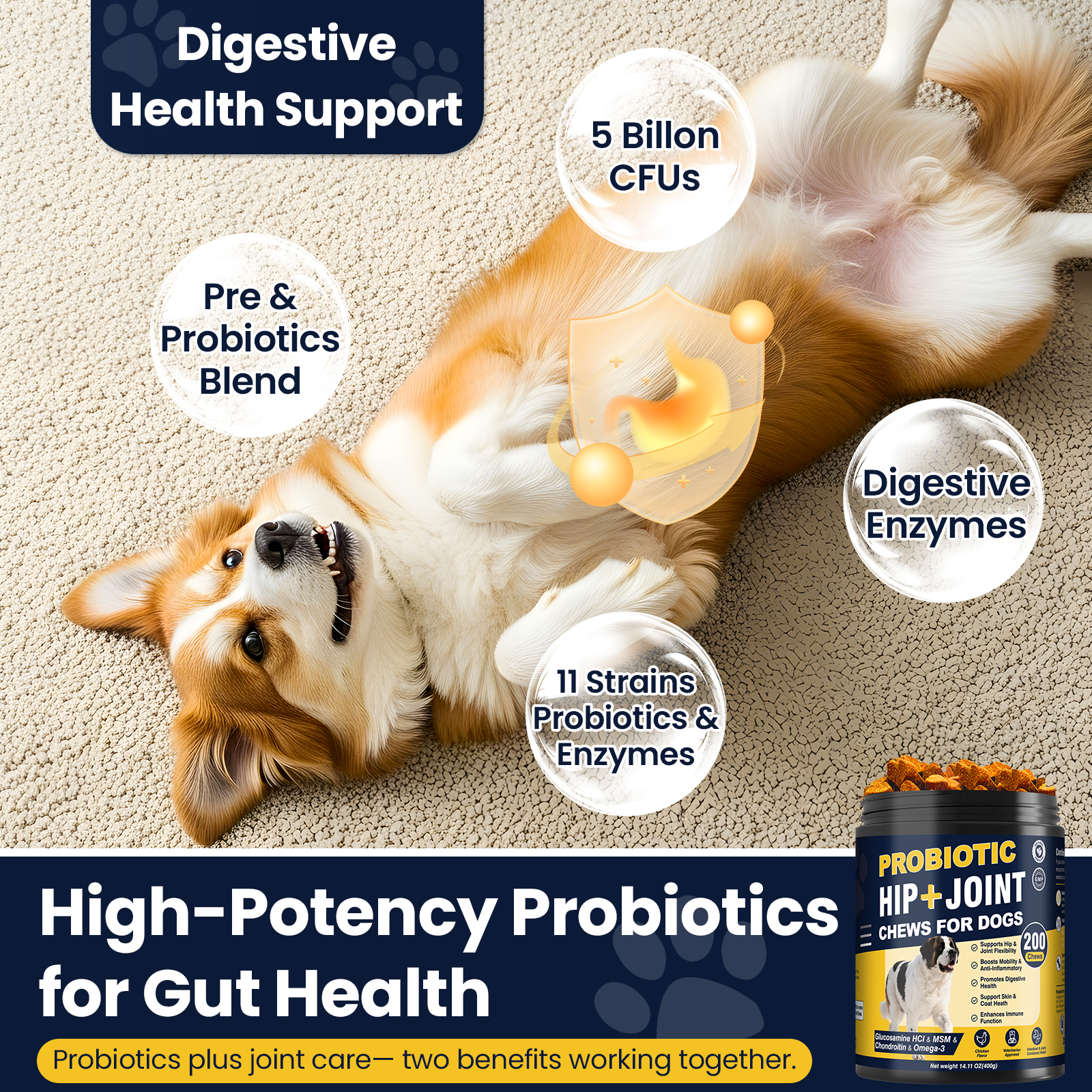 Dog resting with probiotic and digestive-enzyme highlights